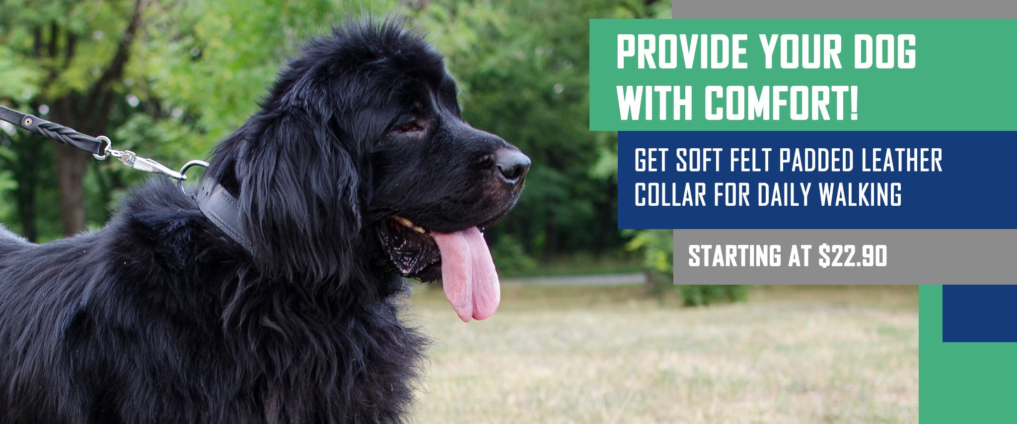 Newfoundland harness, Newfoundland dog muzzle, Newfoundland dog collar